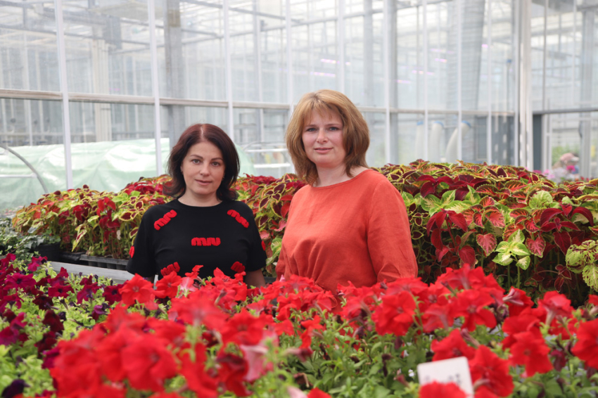 События НИУ «БелГУ» более 50 000 однолетних и многолетних растений вырастили в ботаническом саду ниу «белгу»