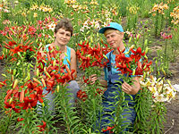 Объявления НИУ «БелГУ» ботанический сад белгу приглашает на ярмарку «осень-2008»