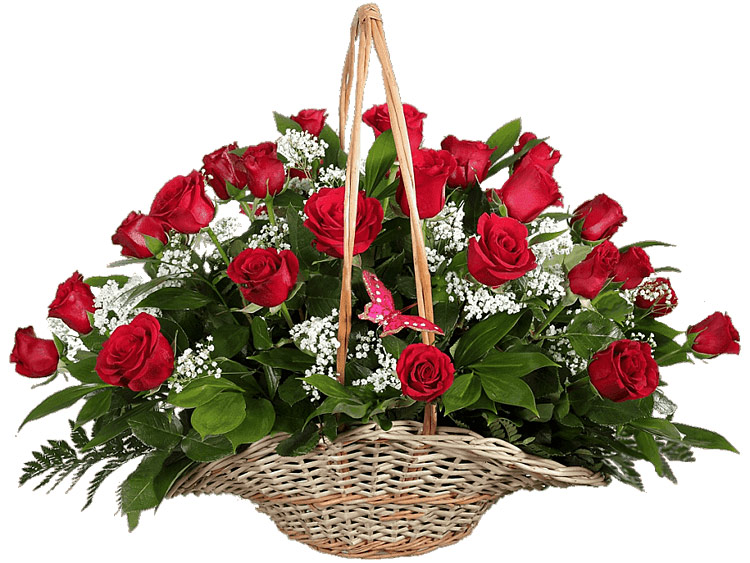 Поздравления НИУ «БелГУ» Коллектив НИУ «БелГУ» поздравляет с юбилеем Андрея Васильевича Полонского