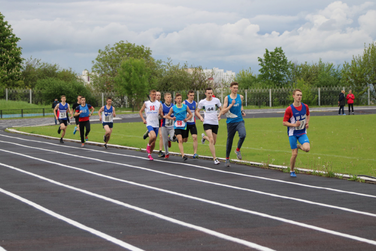 События НИУ «БелГУ» представители ниу «белгу» – триумфаторы областной универсиады по лёгкой атлетике