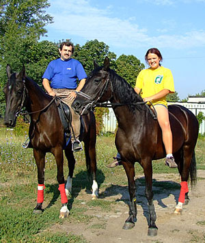 Объявления НИУ «БелГУ» экскурсии с катанием верхом на лошади