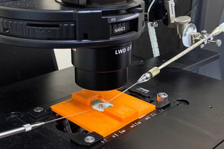 События НИУ «БелГУ» учёные ниу «белгу» запатентовали камеру для микроопераций