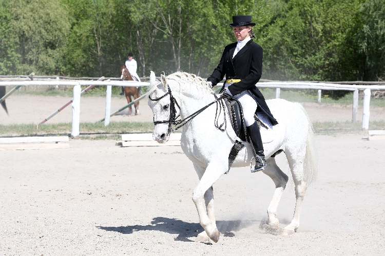 События НИУ «БелГУ» быть на коне