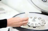 Учёные НИУ «БелГУ» нашли способ повысить эффективность лечения пиелонефрита и сердечно-сосудистой патологии