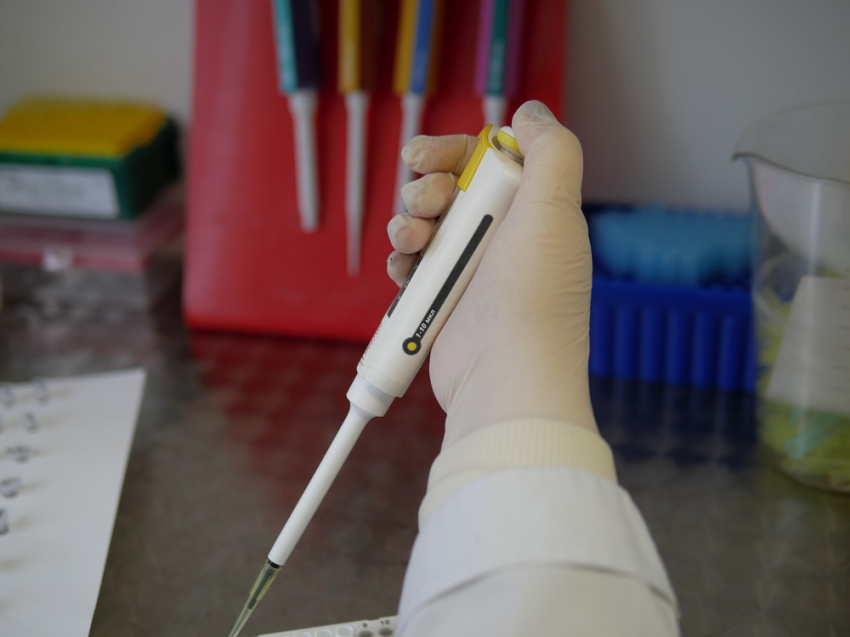 События НИУ «БелГУ» 4 февраля – всемирный день борьбы против рака