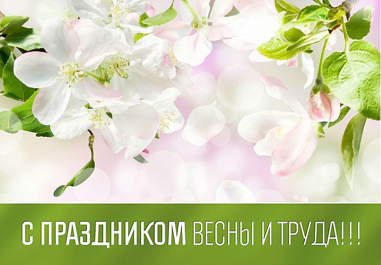 Поздравления НИУ «БелГУ» С праздником Весны и Труда!