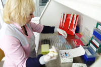 Учёные НИУ «БелГУ» определили ген, вызывающий экзему