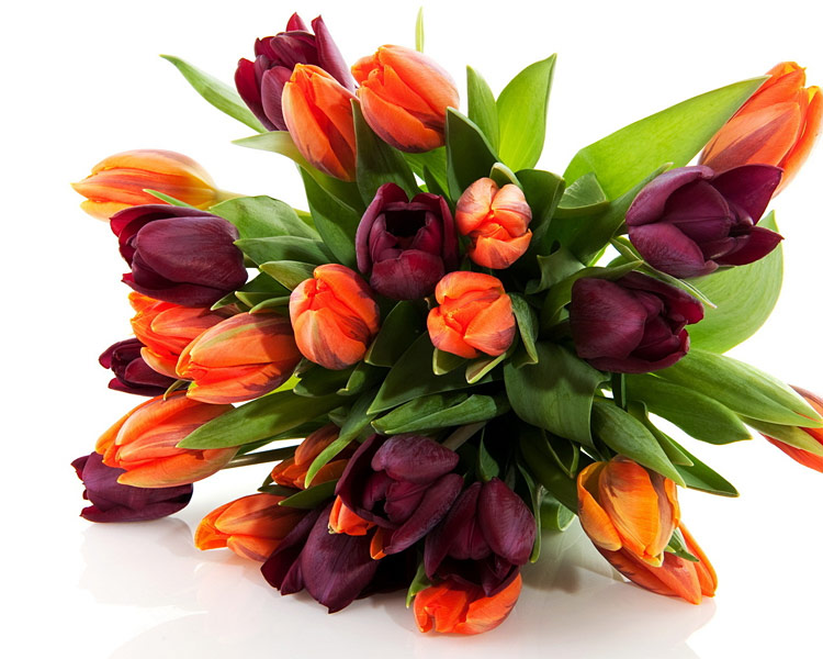 Поздравления НИУ «БелГУ» Коллектив НИУ «БелГУ» поздравляет с юбилеем Феликса Андреевича Пятаковича