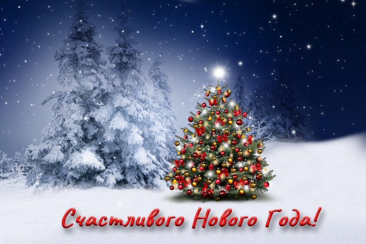 Поздравления НИУ «БелГУ» С Новым годом и Рождеством Христовым!