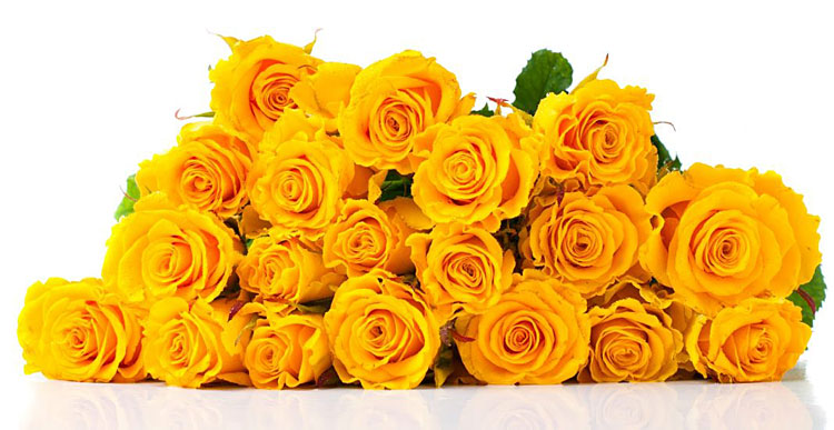 Поздравления НИУ «БелГУ» Коллектив БелГУ поздравляет с юбилеем Надежду Васильевну Чугунову