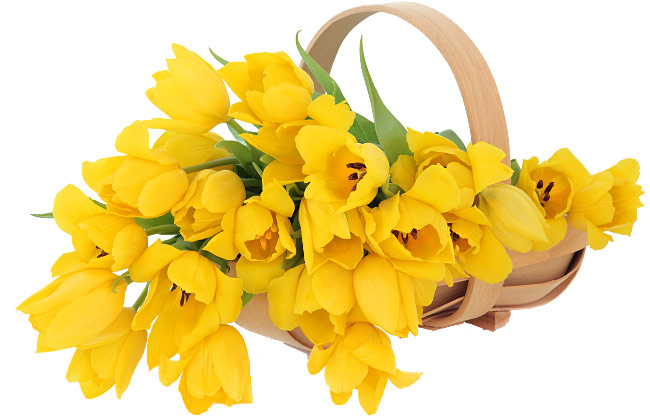 Поздравления НИУ «БелГУ» Коллектив НИУ «БелГУ» поздравляет с юбилеем Татьяну Петровну Фурсину