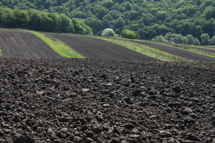 События НИУ «БелГУ» проект учёных ниу «белгу» поддержан рффи