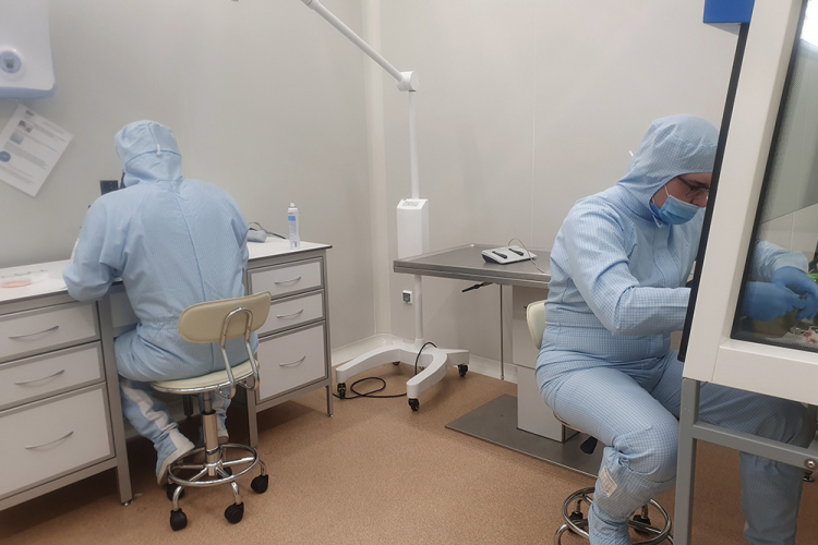 События НИУ «БелГУ» учёные ниу «белгу» и института биологии гена ран создали новую линию гуманизированных мышей, чувствительных к заражению коронавирусом 