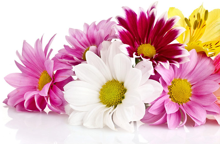 Поздравления НИУ «БелГУ» Коллектив НИУ «БелГУ» поздравляет с юбилеем Валентину Васильевну Мальцеву