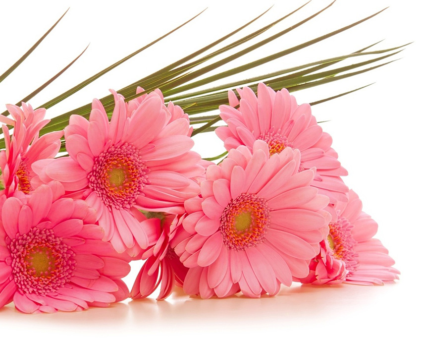 Поздравления НИУ «БелГУ» С Днём преподавателя высшей школы