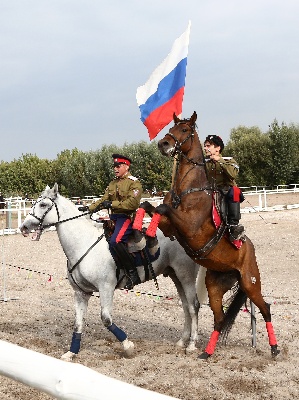 События НИУ «БелГУ» кубок губернатора пройдёт на базе конноспортивной школы ниу «белгу»