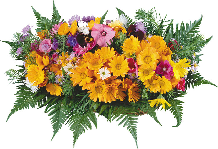 Поздравления НИУ «БелГУ» С Днем учителя!