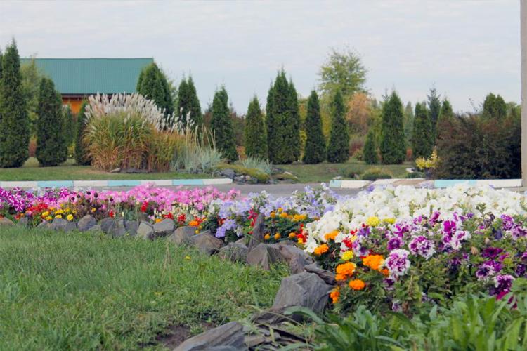 События НИУ «БелГУ» ноц "ботанический сад ниу «белгу» проводит семинары для садоводов-любителей 