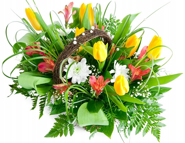 Поздравления НИУ «БелГУ» Медколледжу – 85!