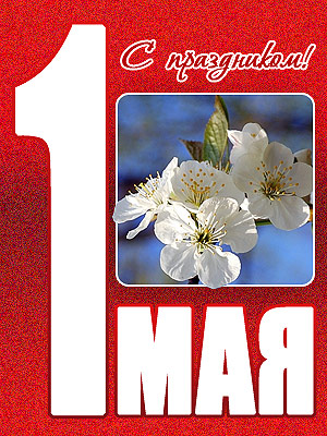 Поздравления НИУ «БелГУ» С Днем весны и труда!