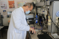 Молоко из момордики