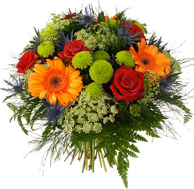 Поздравления НИУ «БелГУ» Коллектив БелГУ поздравляет с юбилеем Николая Павловича Голубоцких 