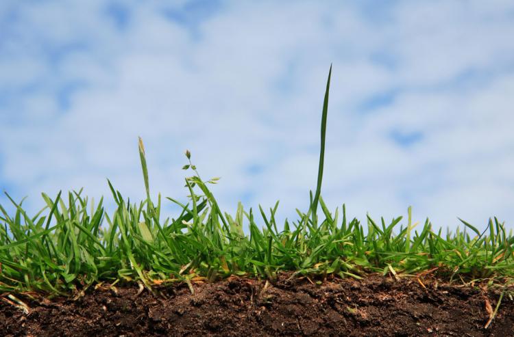 События НИУ «БелГУ» результаты исследований учёных ниу «белгу» помогут сохранить почвенные ресурсы россии