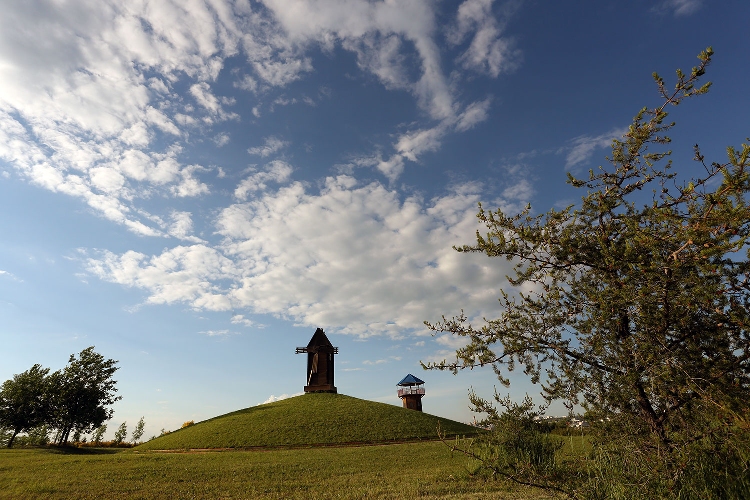 События НИУ «БелГУ» ботсад ниу «белгу» вновь приглашает друзей