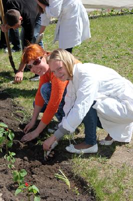 События НИУ «БелГУ» посади свое дерево