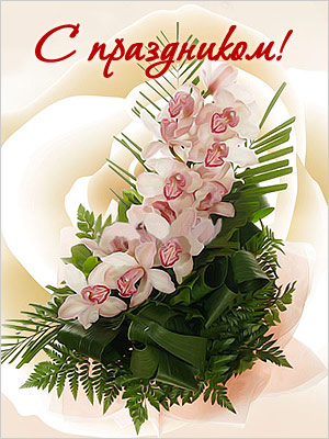 Поздравления НИУ «БелГУ» С профессиональным праздником – общероссийским Днём библиотек