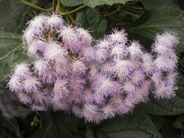 Объявления НИУ «БелГУ» «путешествие в лето»