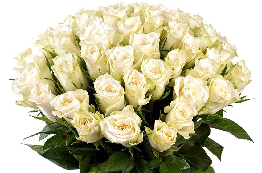 Поздравления НИУ «БелГУ» Коллектив НИУ «БелГУ» поздравляет с юбилеем Веру Владимировну Демичеву