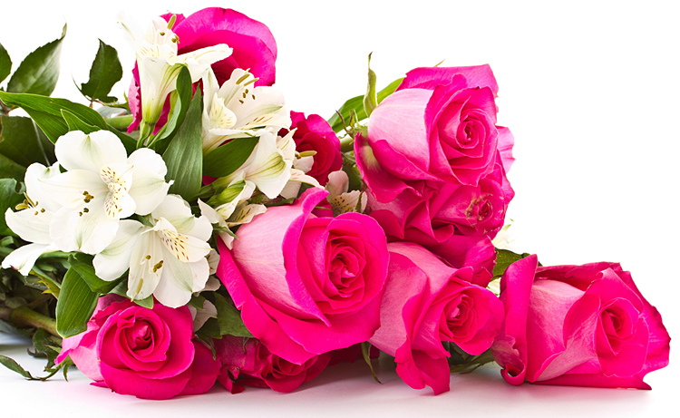 Поздравления НИУ «БелГУ» С Днём преподавателя высшей школы!