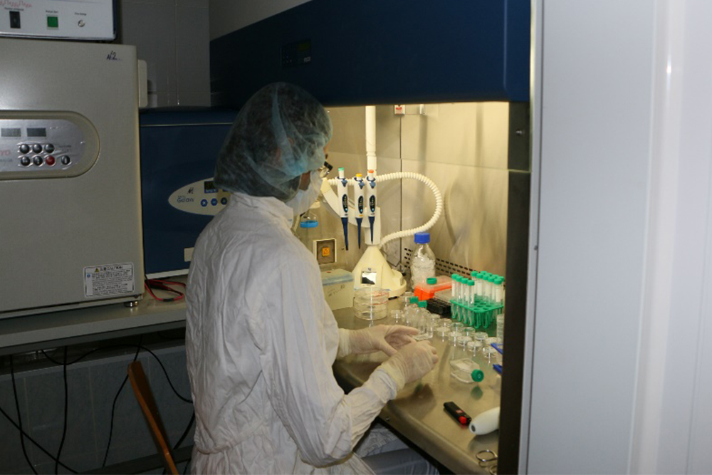 События НИУ «БелГУ» фармакологи ниу «белгу» синтезировали новое вещество, корректирующее последствия черепно-мозговых травм