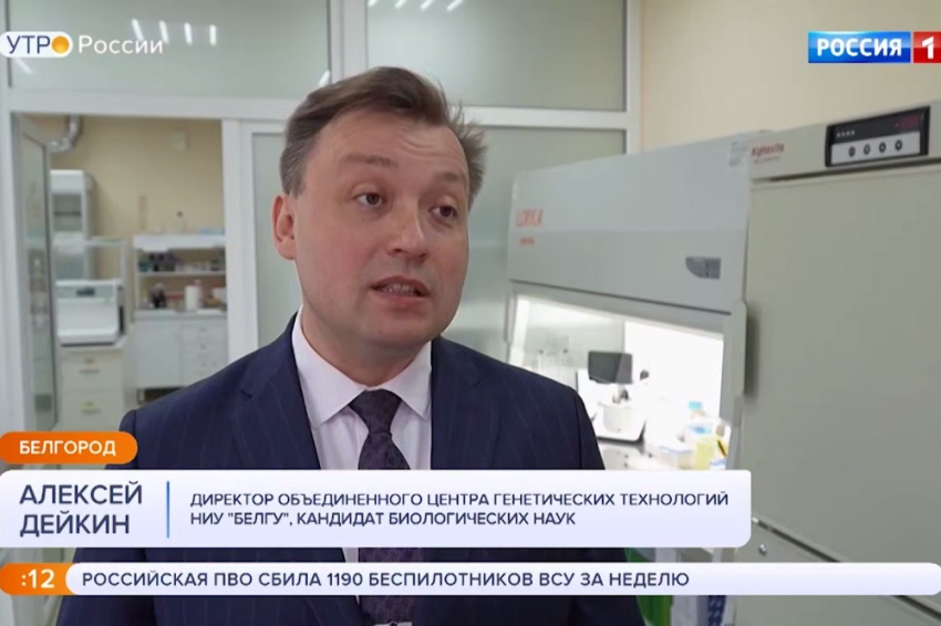 События НИУ «БелГУ» учёный ниу «белгу» прокомментировал гипоаллергенность кроличьего молока