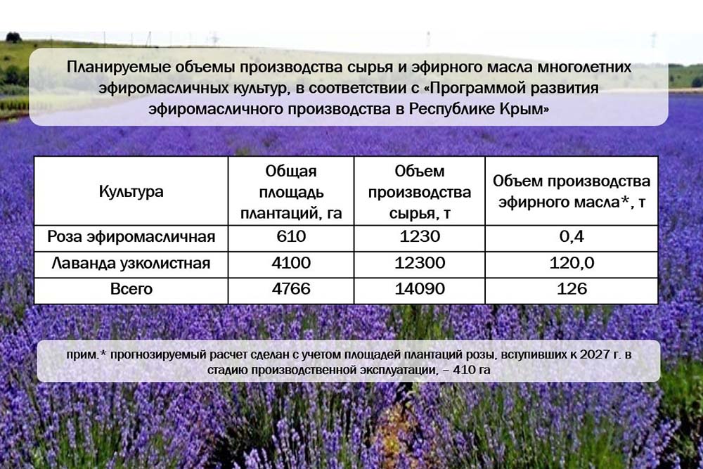 На платформе НОЦ «Инновационные решения в АПК» будет реализован совместный с НИИ СХ Крыма проект