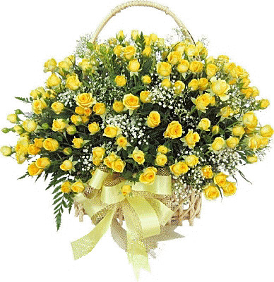 Поздравления НИУ «БелГУ» С Днем российского студенчества!