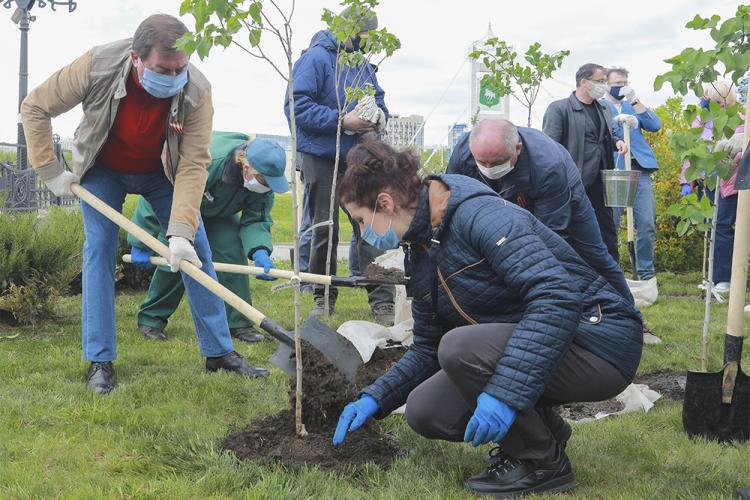 События НИУ «БелГУ» сирень ко дню победы