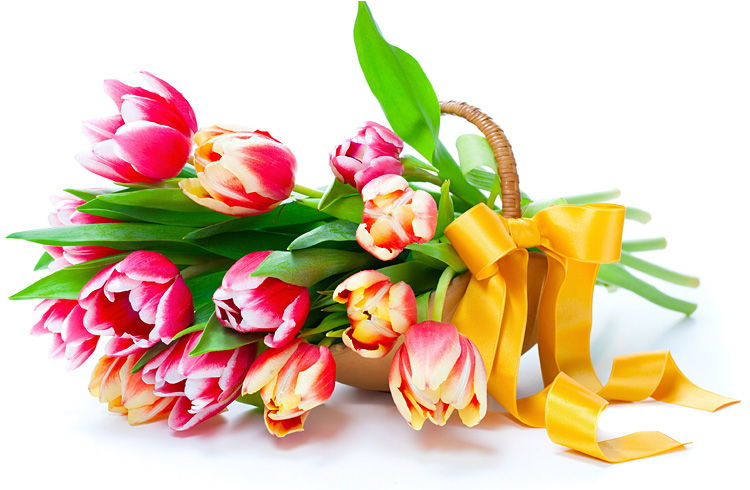 Поздравления НИУ «БелГУ» Факультету дошкольного, начального и специального образования 40 лет!