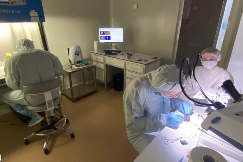 События НИУ «БелГУ» учёные ниу «белгу» нашли новый способ спасать мозг новорождённых после гипоксии