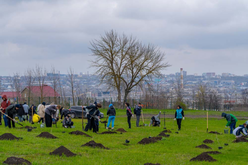 События НИУ «БелГУ» студенты и сотрудники ниу «белгу» высадили 150 деревьев на территории карбонового полигона
