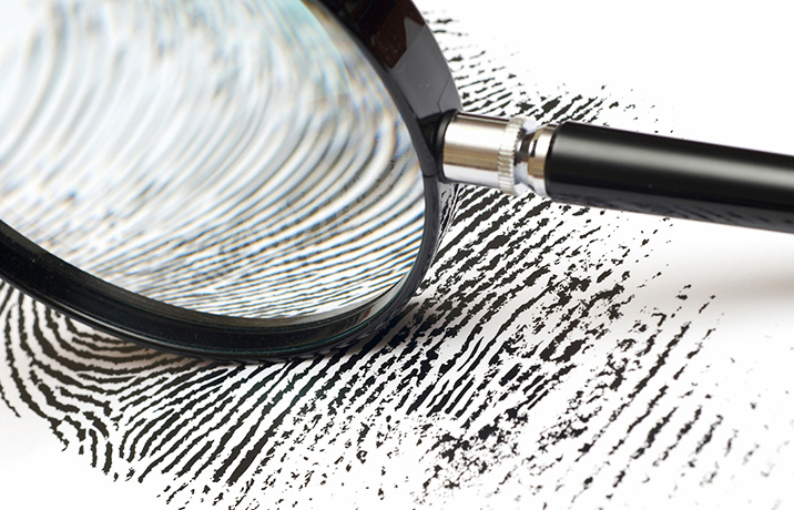 События НИУ «БелГУ» клуб детективов 