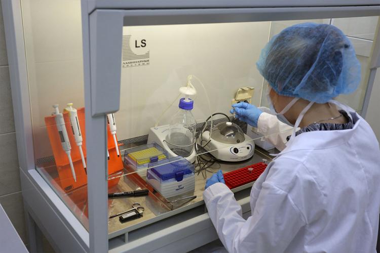 События НИУ «БелГУ» доказана эффективность мембранных носителей для хранения, транспортировки и исследования биоматериала растений