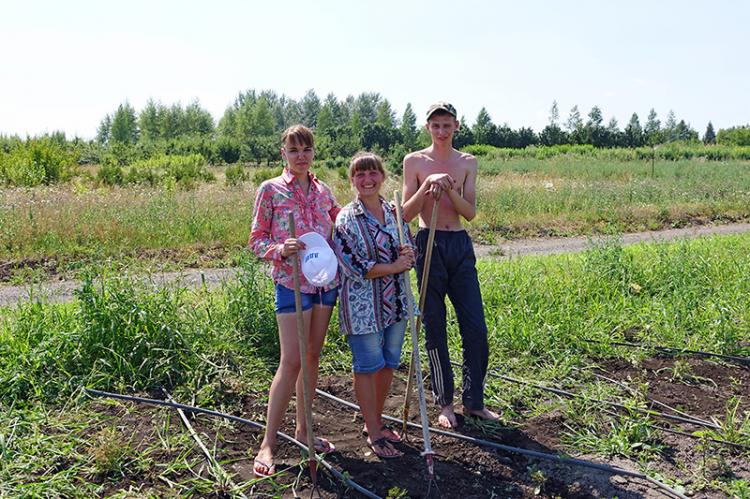 События НИУ «БелГУ» в ботаническом саду ниу «белгу» работает трудовой десант