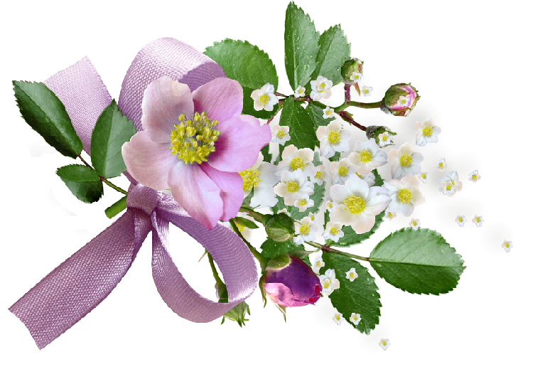 Поздравления НИУ «БелГУ» Коллектив БелГУ поздравляет с юбилеем Ларису Анатольевну Лапшину