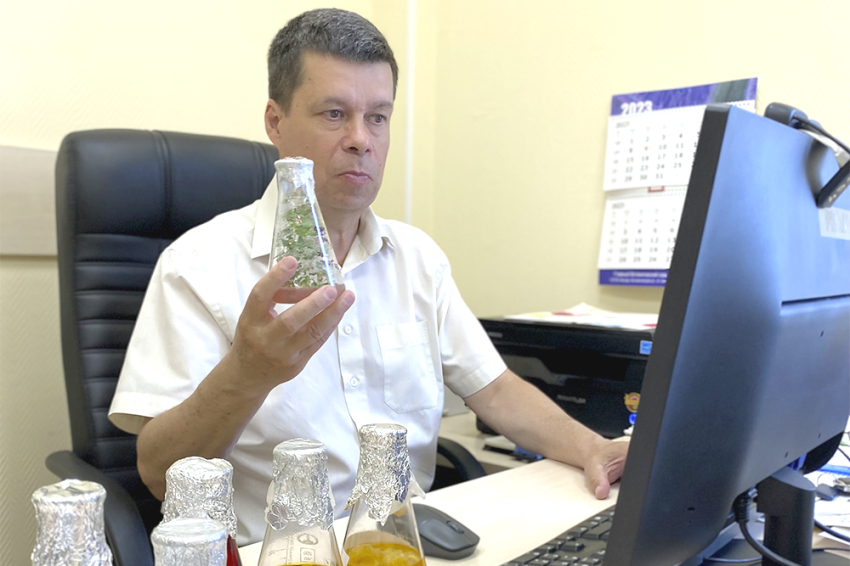 События НИУ «БелГУ» состоялось очередное заседание белгородского ноц, посвящённое селекционной работе