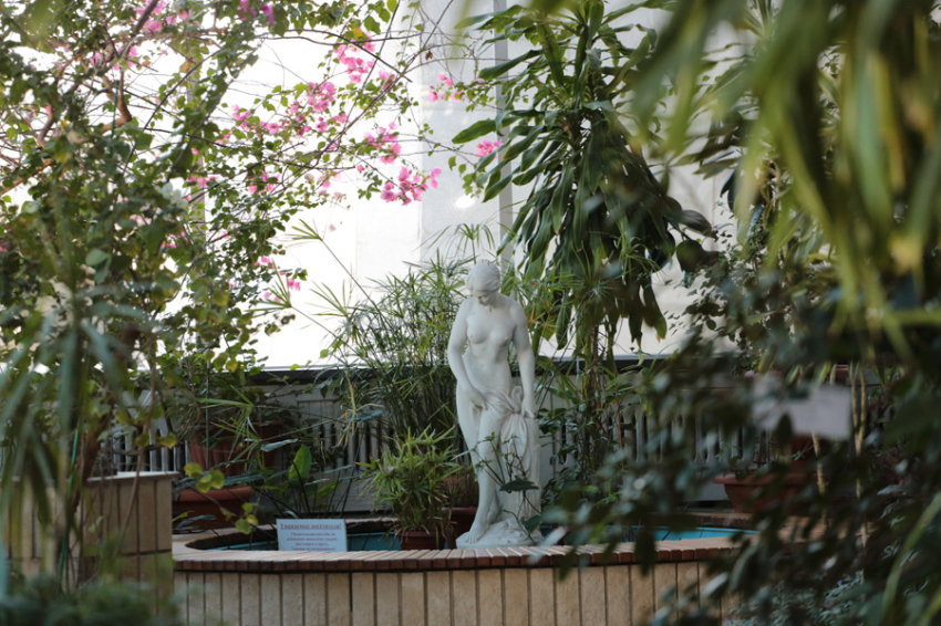 События НИУ «БелГУ» в зимнем саду ниу «белгу» наступила пора весеннего цветения 