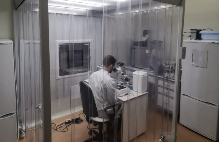 События НИУ «БелГУ» ниу «белгу» развивает сотрудничество с институтом физиологически активных веществ ран