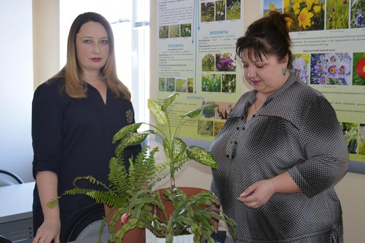 События НИУ «БелГУ» сотрудники ботанического сада ниу «белгу» дали экспертную оценку конкурсным работам