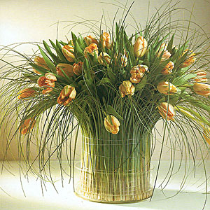 Поздравления НИУ «БелГУ» C праздником 8 Марта!